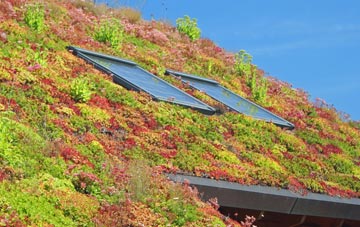 Skipton living roof systems